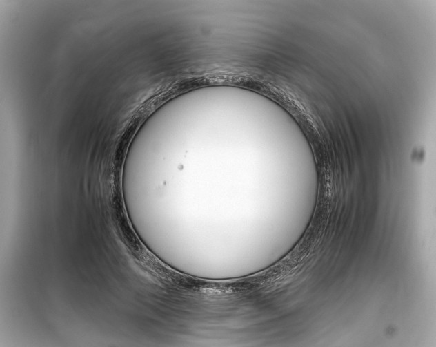 X0000099550690200805160727