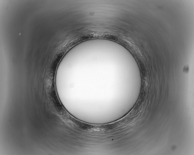 X0000099550691200805160727