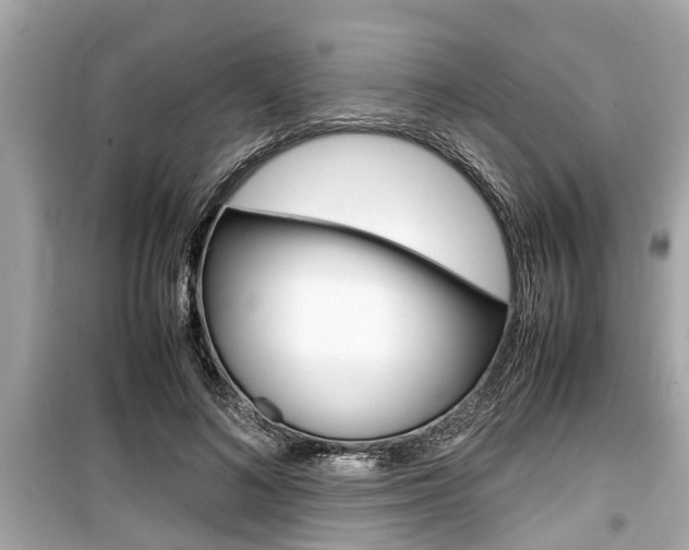 X0000099550692200805160727