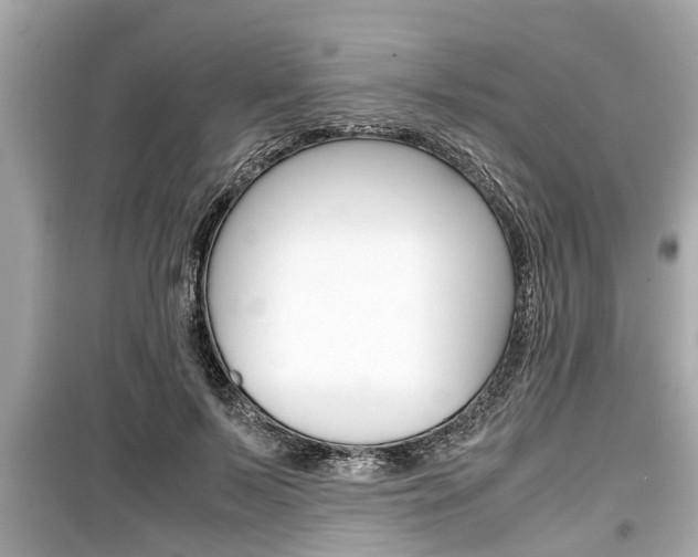 X0000099550695200805160726