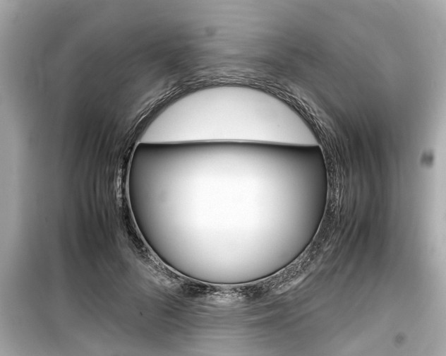 X0000099550696200805160726