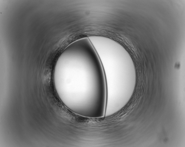 X0000099550697200805160726