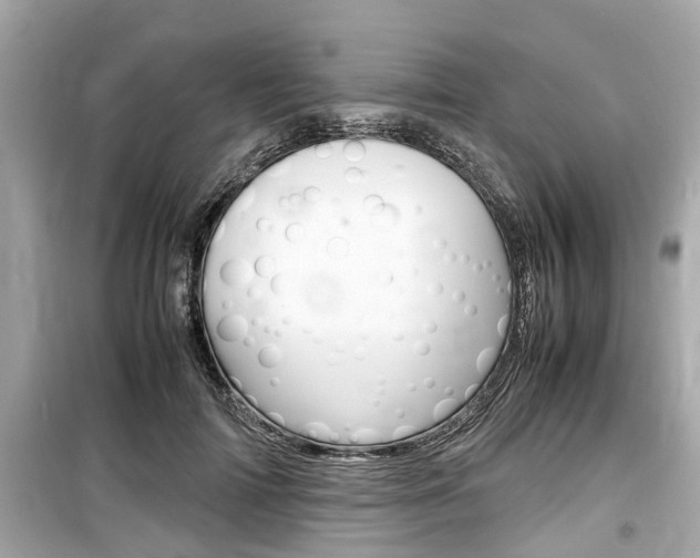 X0000099550698200805160726