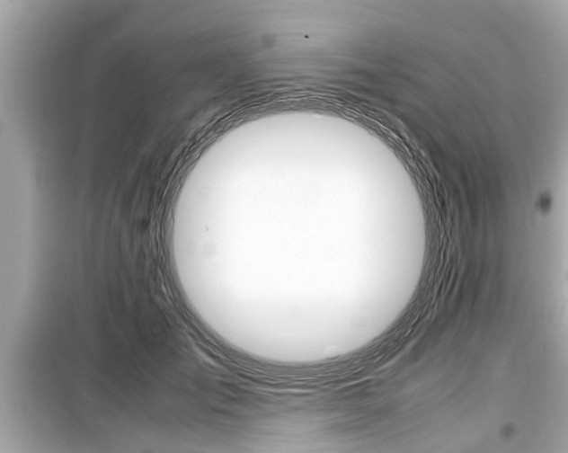 X0000099550701200805160726