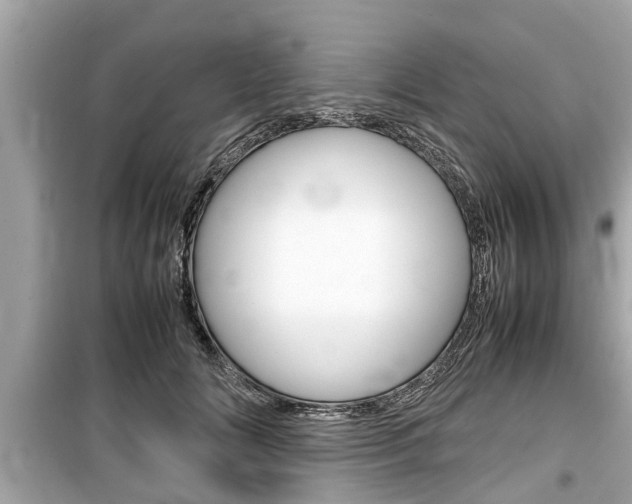 X0000099550702200805160726