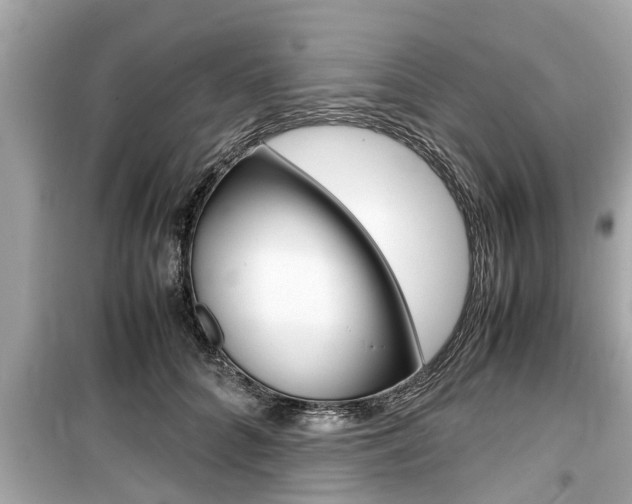 X0000099550704200805160726