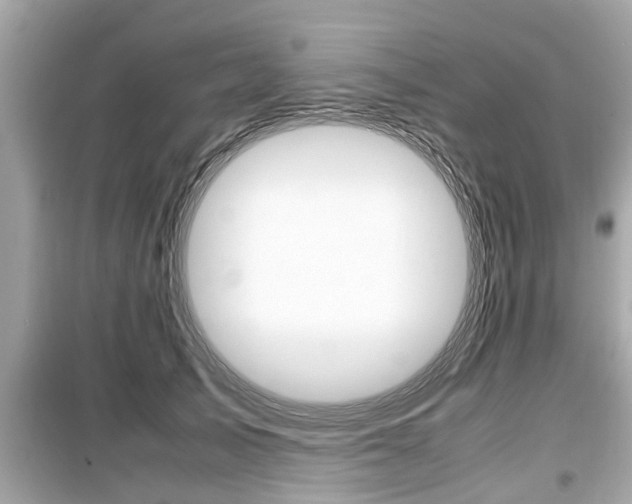 X0000099550705200805160726