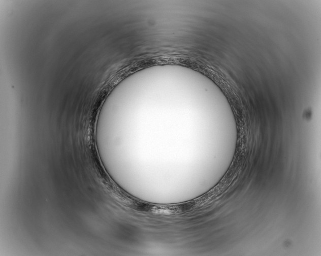 X0000099550706200805160726