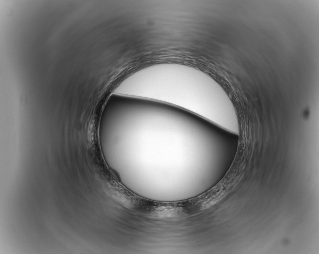 X0000099550708200805160726
