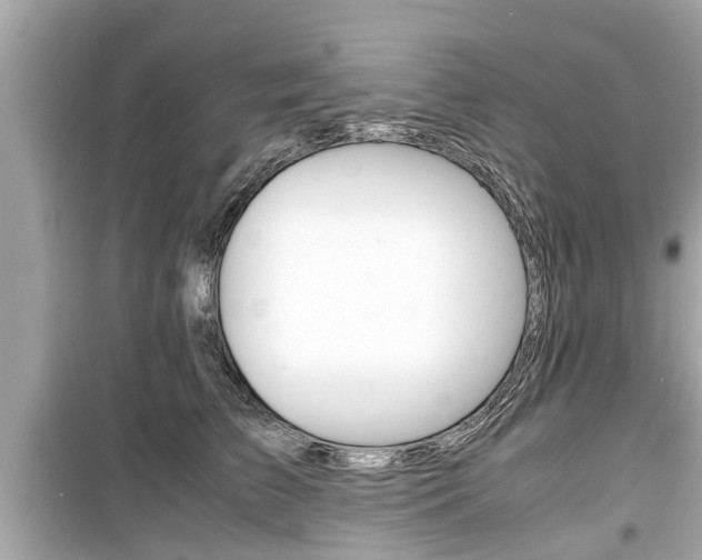 X0000099550709200805160726
