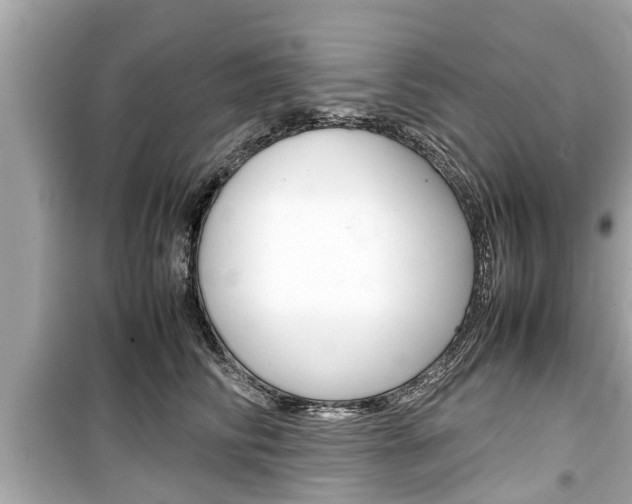 X0000099550710200805160726