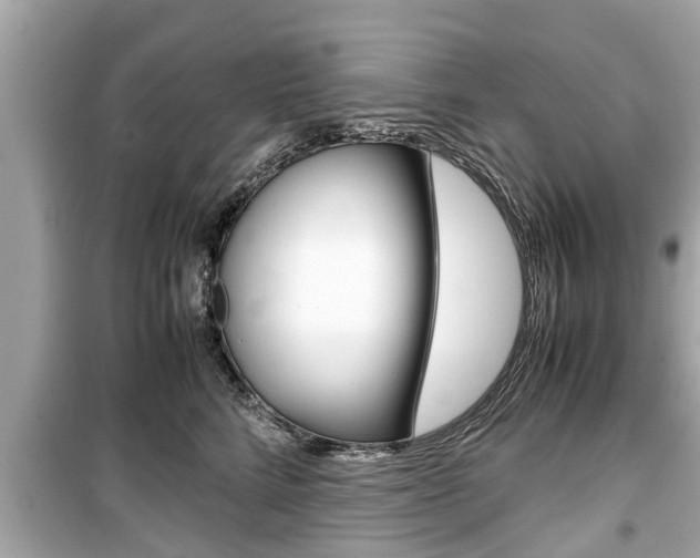 X0000099550712200805160726