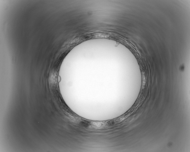X0000099550713200805160726