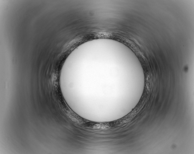X0000099550714200805160726