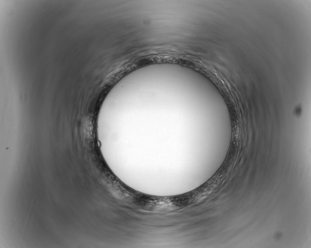 X0000099550715200805160726