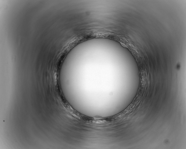 X0000099550716200805160726