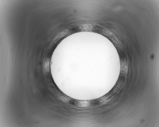X0000099550717200805160726