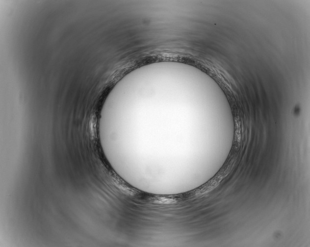 X0000099550718200805160726