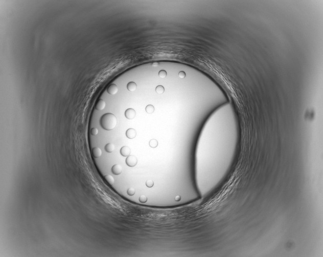 X0000099550721200805160725