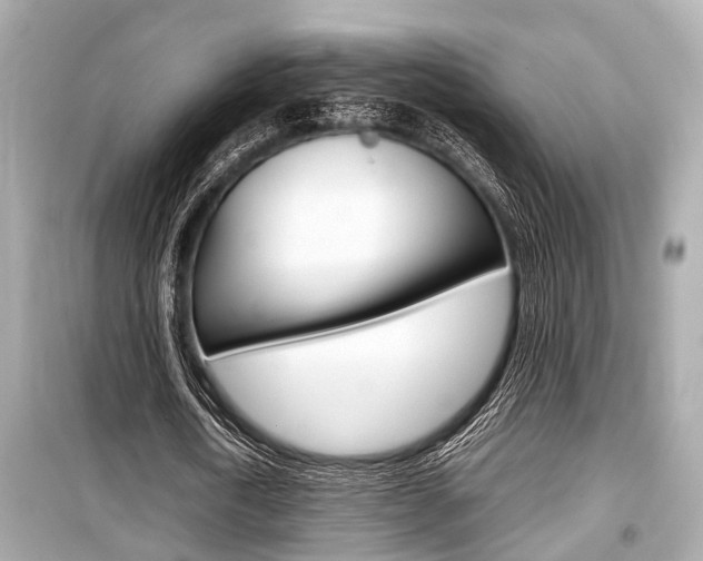 X0000099550722200805160725