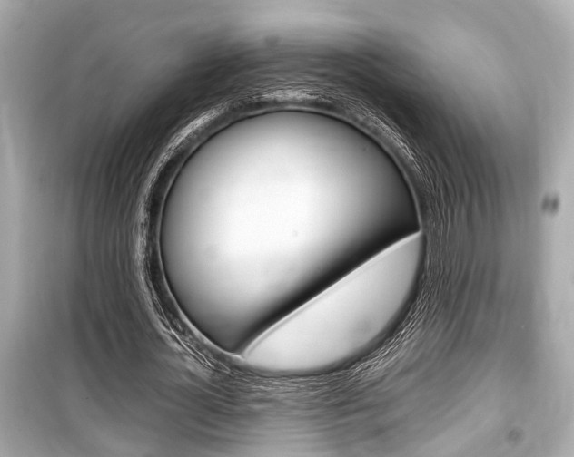 X0000099550724200805160726