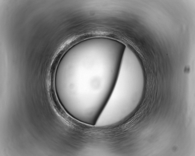 X0000099550726200805160726
