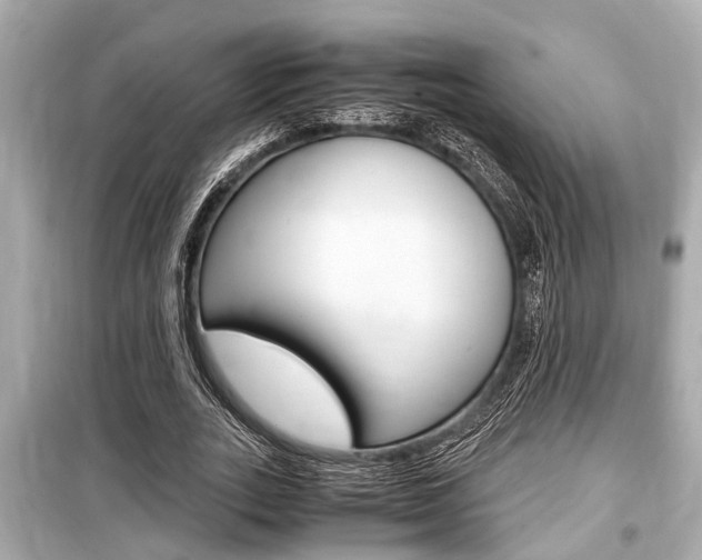 X0000099550727200805160726