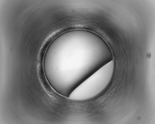 X0000099550728200805160726