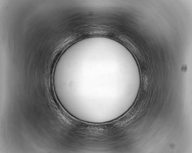 X0000099550729200805160726