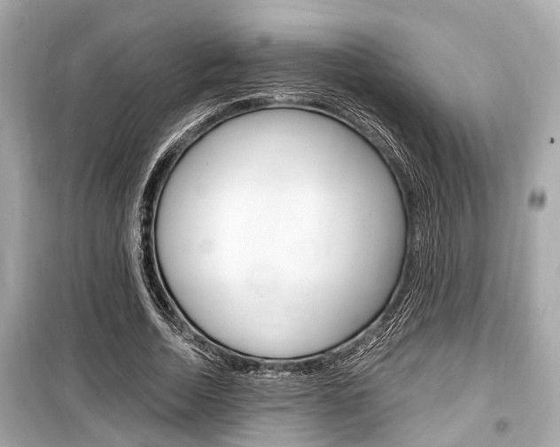 X0000099550730200805160726