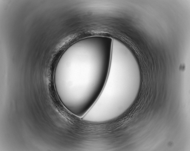 X0000099550732200805160726