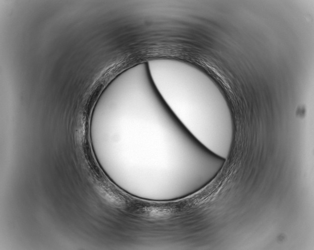 X0000099550733200805160726