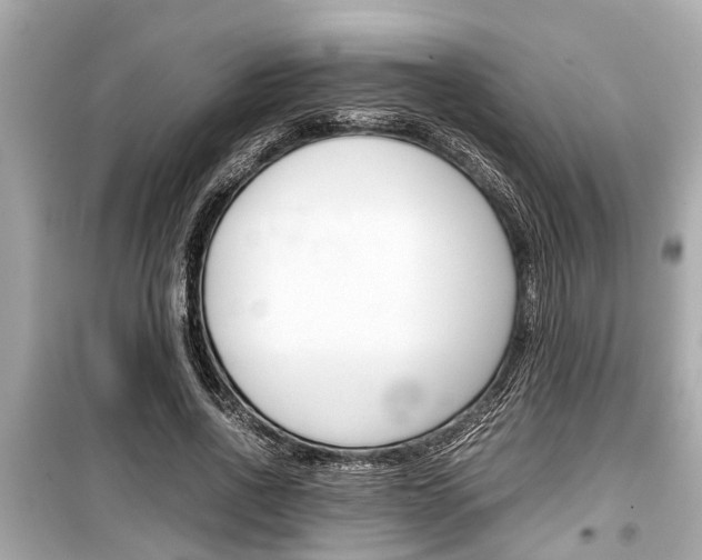 X0000099550734200805160726