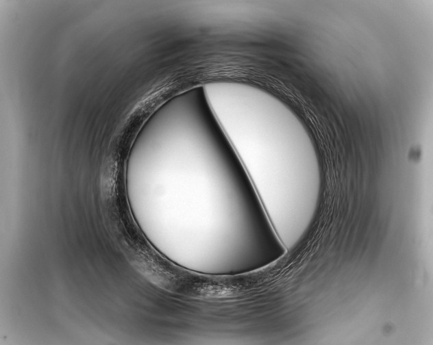 X0000099550735200805160726