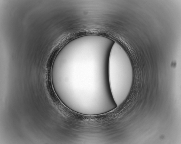 X0000099550738200805160726