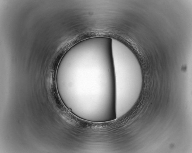 X0000099550740200805160726