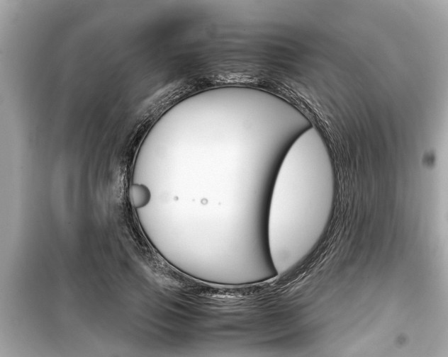 X0000099550741200805160726