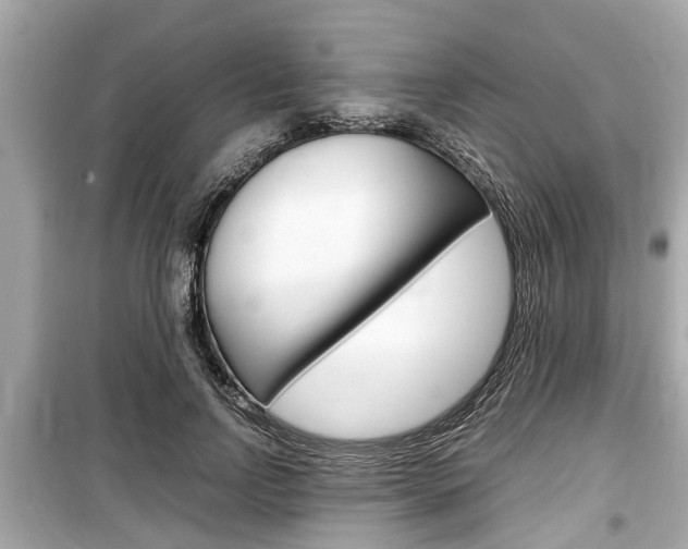 X0000099550742200805160726