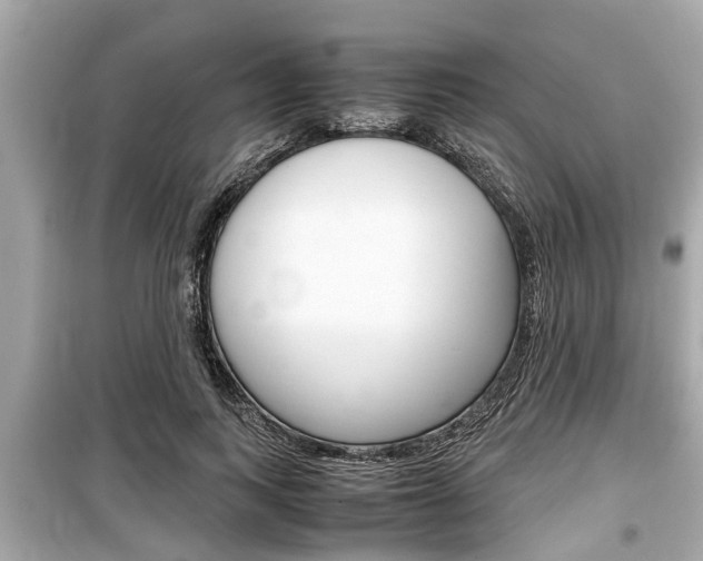 X0000099550743200805160726