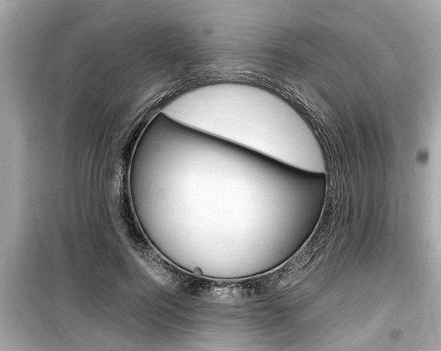 X0000099550744200805160726