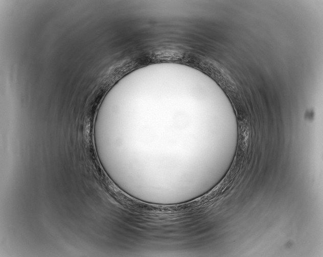 X0000099550745200805160726
