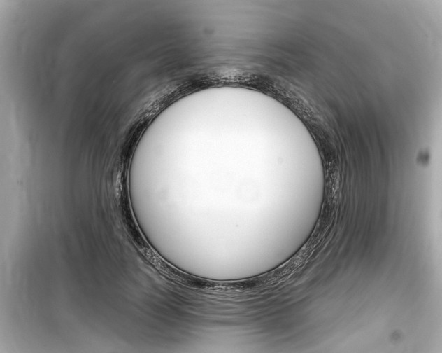 X0000099550746200805160726