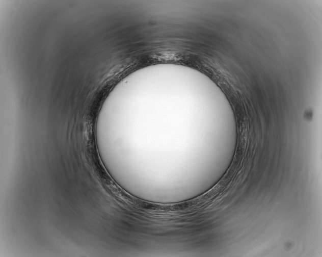 X0000099550747200805160726