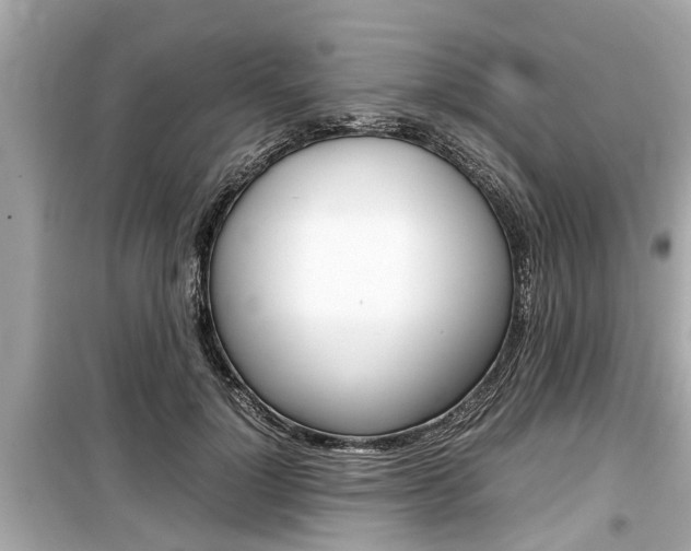 X0000099550748200805160726