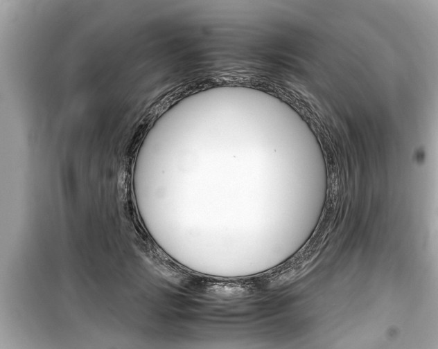 X0000099550749200805160726