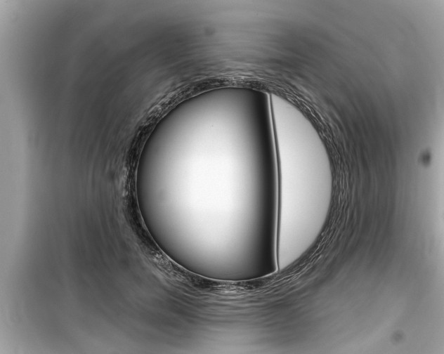 X0000099550750200805160726