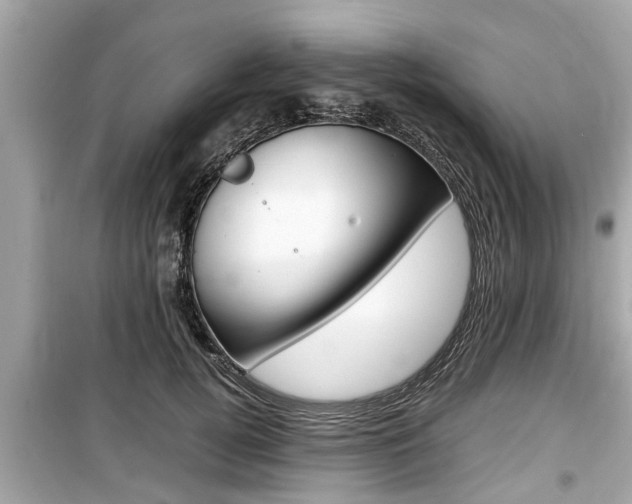 X0000099550752200805160726