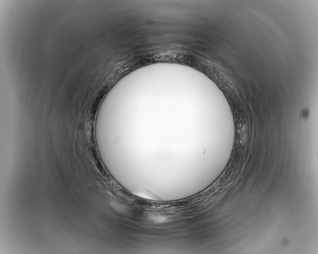 X0000099550753200805160726