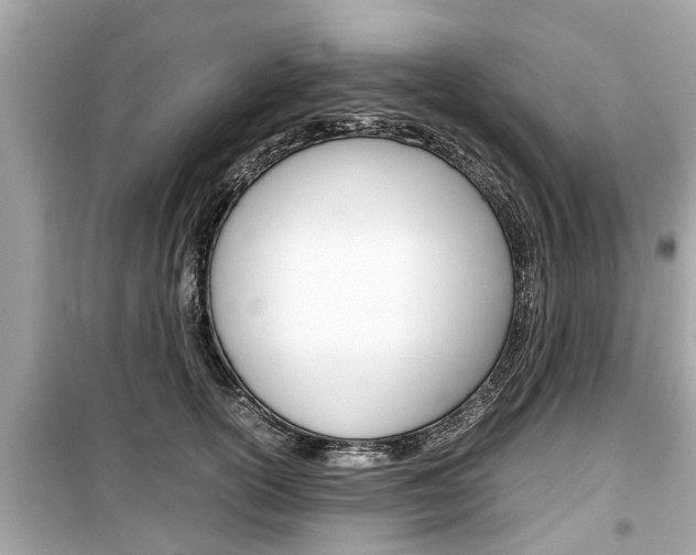 X0000099550754200805160726