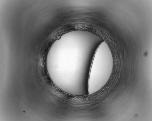 X0000099550755200805160726